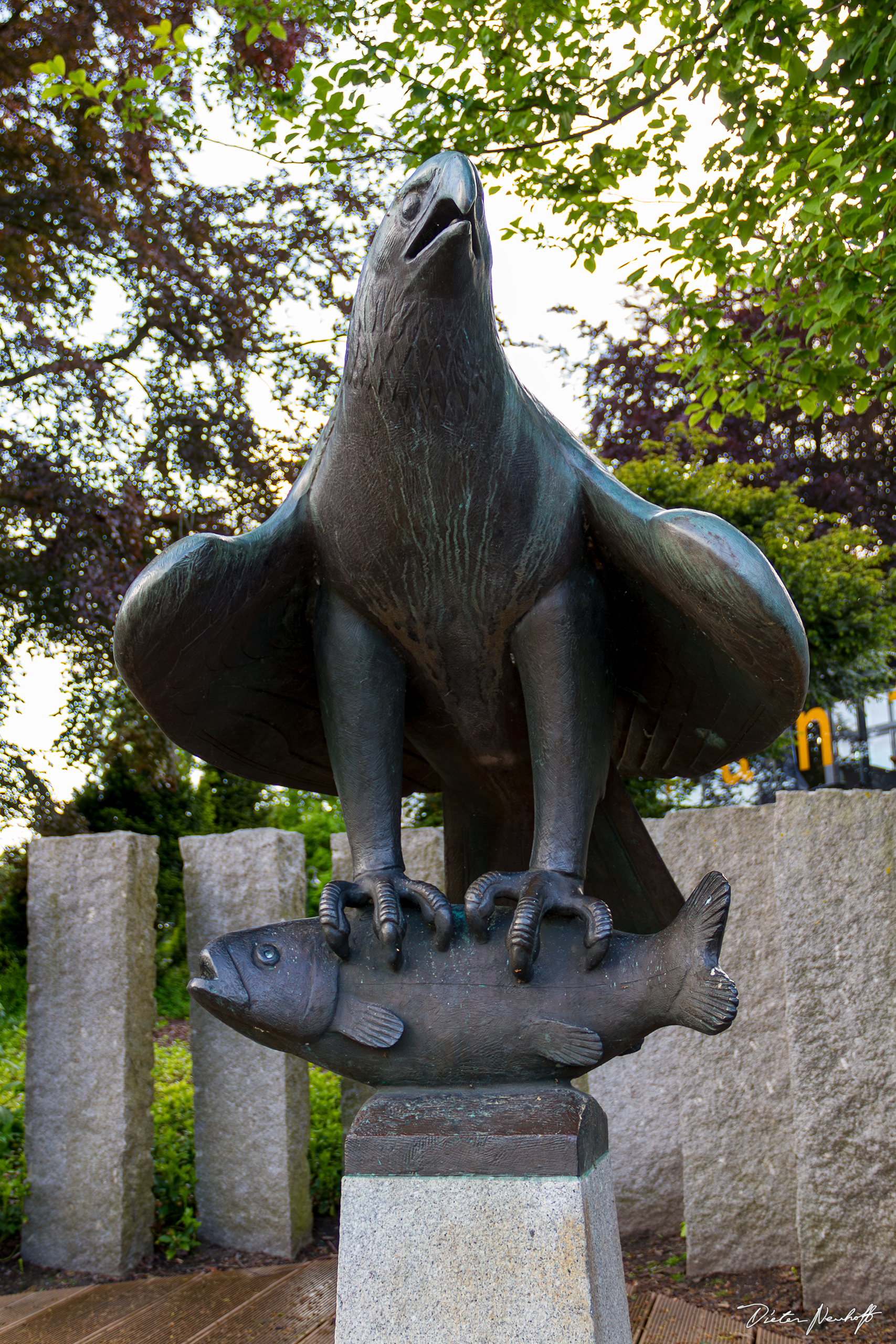 Bremerhaven - Seeadler mit Fischfang (2015)