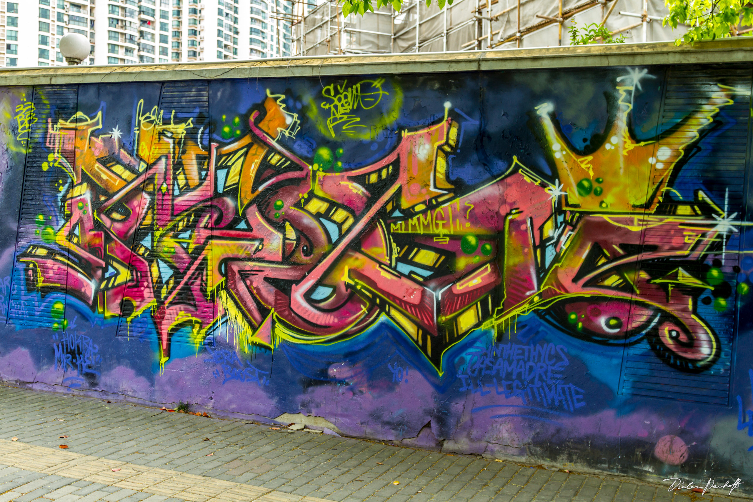 Street Art - Shanghai (2017)