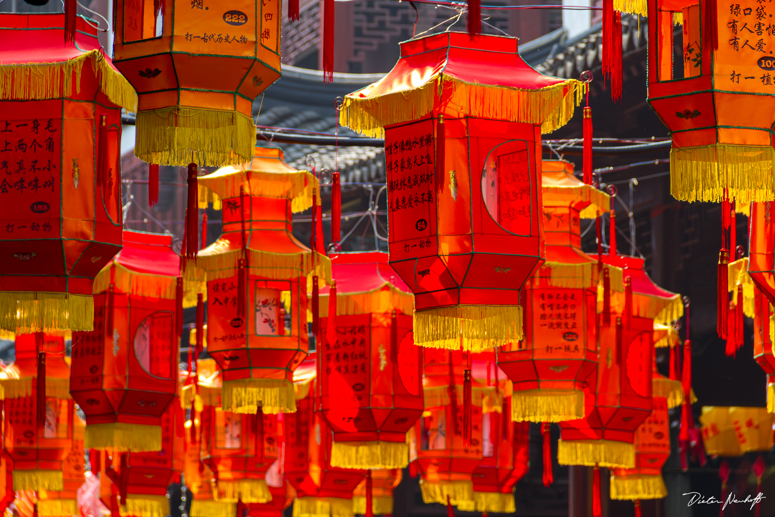 Shanghai - Jahr des Pferd im Yu Garden