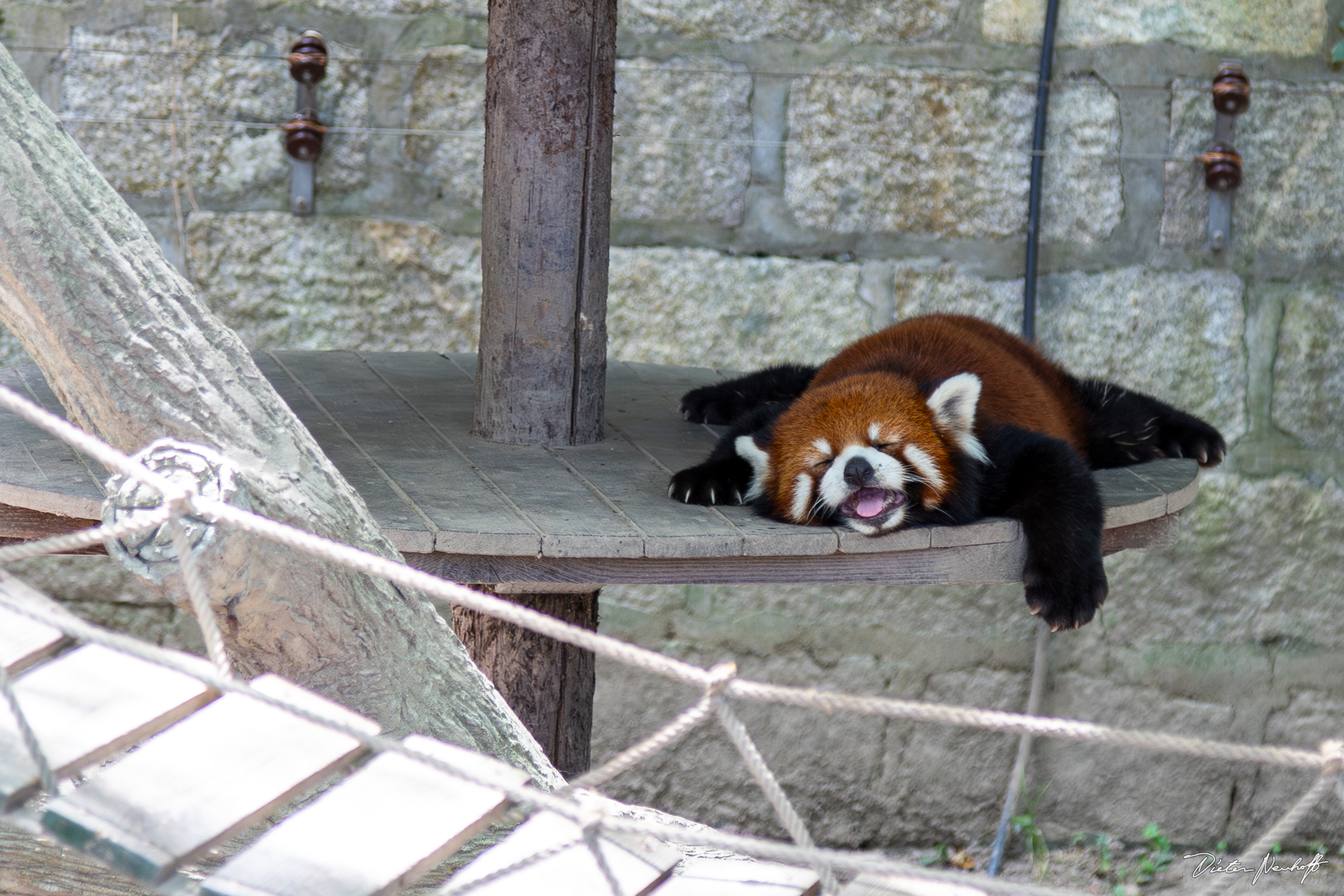 Shanghai - Wildlife Animal Park